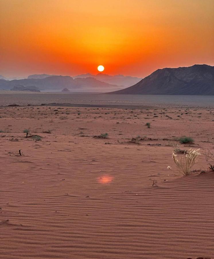 Flowers Rum Camp Wadi Rum Exterior foto